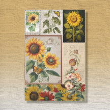 Vintage Sunflower Butterfly Seed Packet Ephemera
