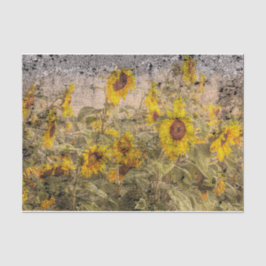 Papel De Seda Vintage Sunflower Field Yellow Grunge Texture