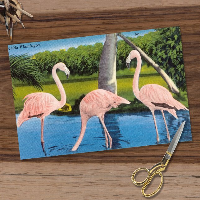 Papel De Seda Vintage Three Florida Flamingos (Criador carregado)