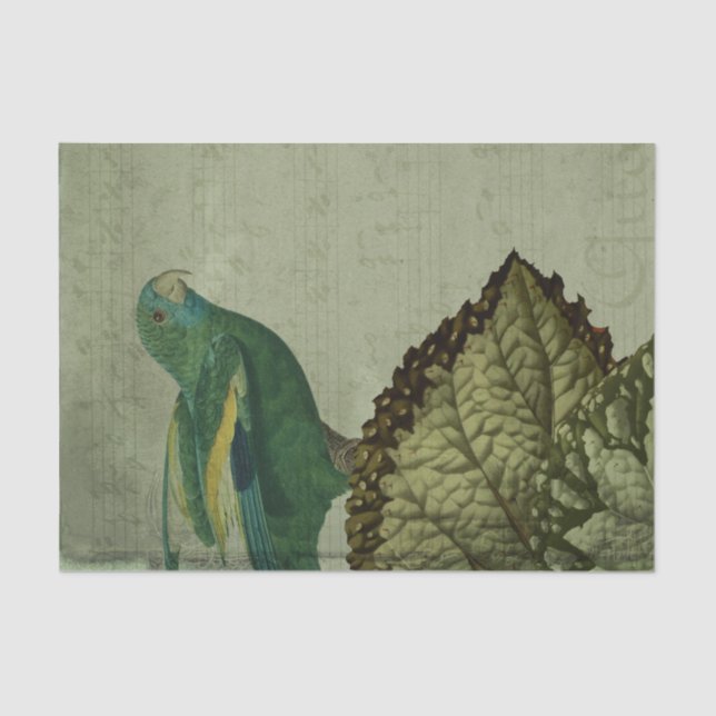 Papel De Seda Vintage Tropical Green Parrot (Frente )