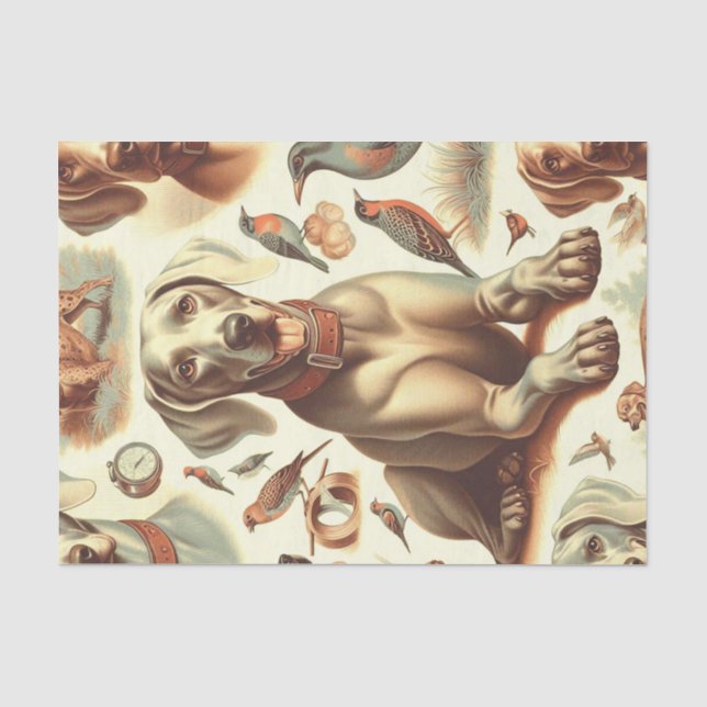 Papel De Seda Vintage Weimaraner Seamless (Frente )