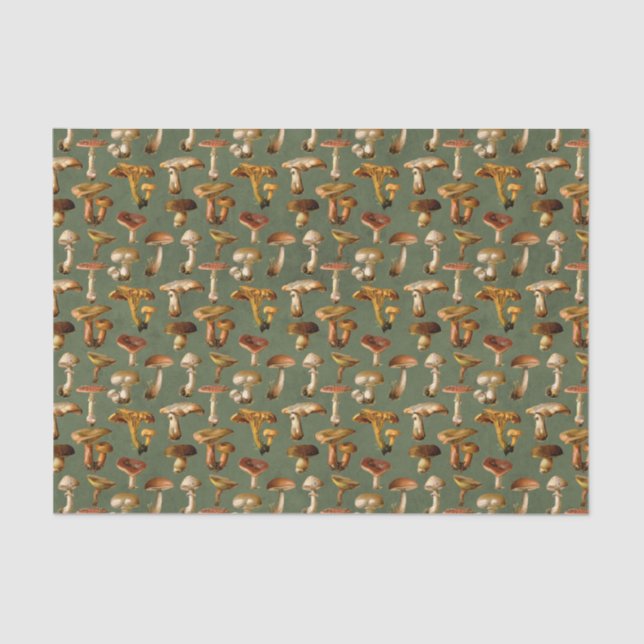 Papel De Seda Vintage Wild Mushroom (Frente )