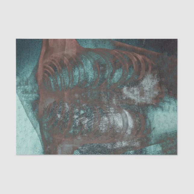 Papel De Seda Vintage Xray Skeletal Textura Castanho Teal (Frente )