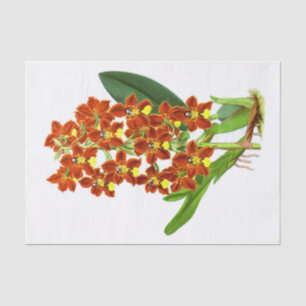 Papel De Seda Vintage Yellow Orange Orchid Flower Decoupage