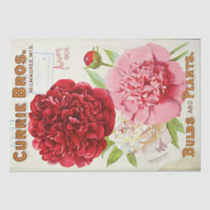 Papel De Seda Vintagem de Pedagogia Rosa-Rosa Ephemera Floral