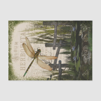 Papel De Seda Voo noturno