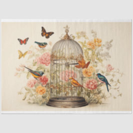Papel De Seda Voo Whimsical: Dissociação de Birdcage