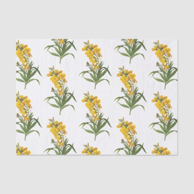 Papel De Seda Wallflower Pattern (Frente )