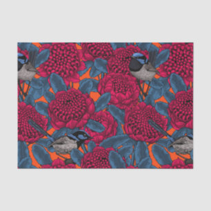 Papel De Seda Waratah Vermelho e forras-de-fada