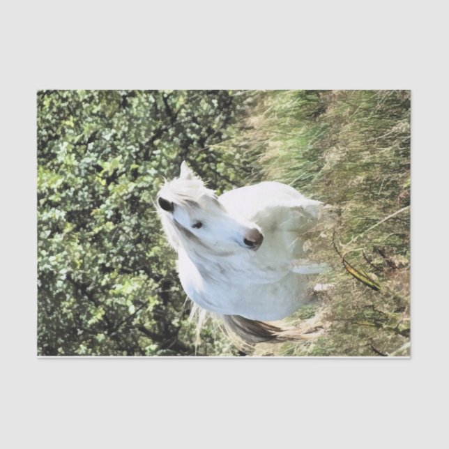 PAPEL DE SEDA WELSH MOUNTAIN PONY (Frente )