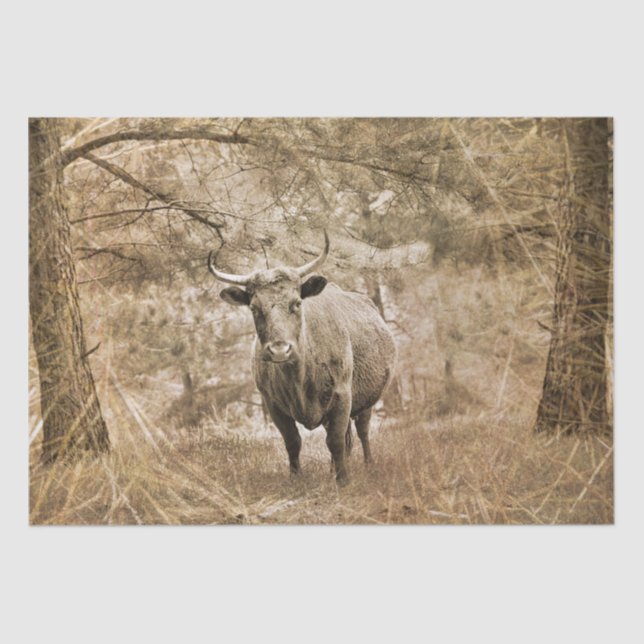 Papel De Seda Western Longhorn Bull (Frente )