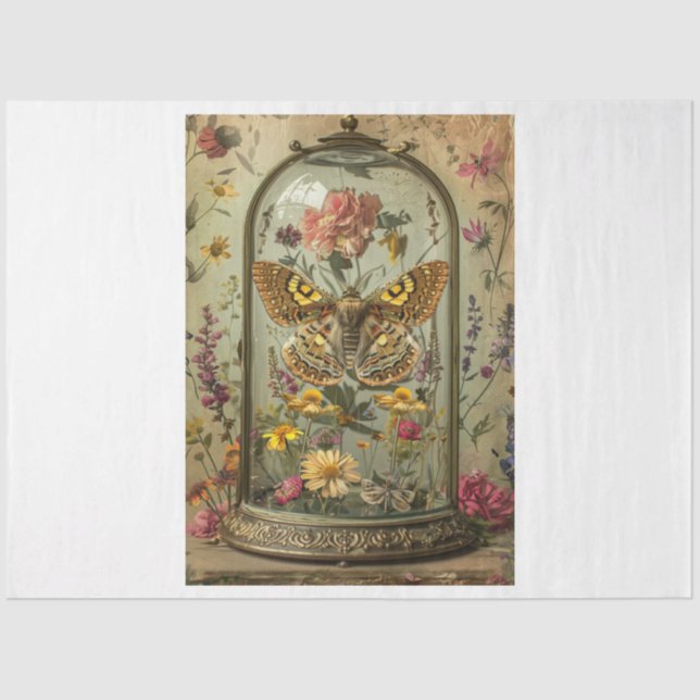 Papel De Seda Whimsical Moth (Frente )