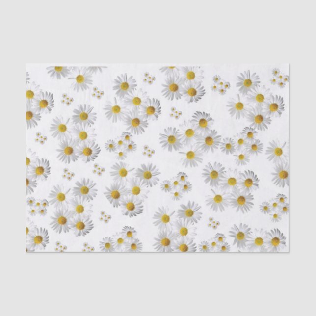 Papel De Seda White Daisy do Livro Branco (Frente )