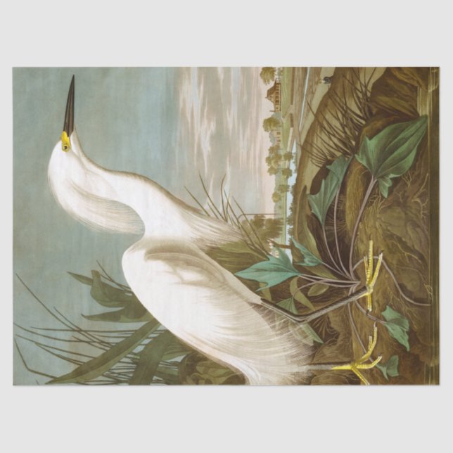 Papel De Seda White Heron por John James Audubon (Frente )
