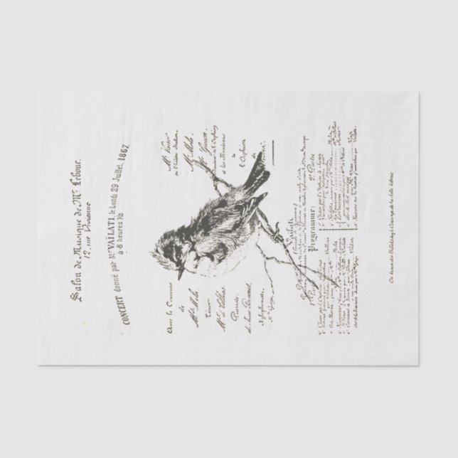 Papel De Seda White Music Salon Bird Script Tissue Paper (Frente )