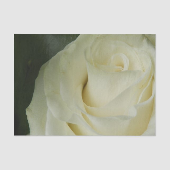 Papel De Seda White Rose (Frente )