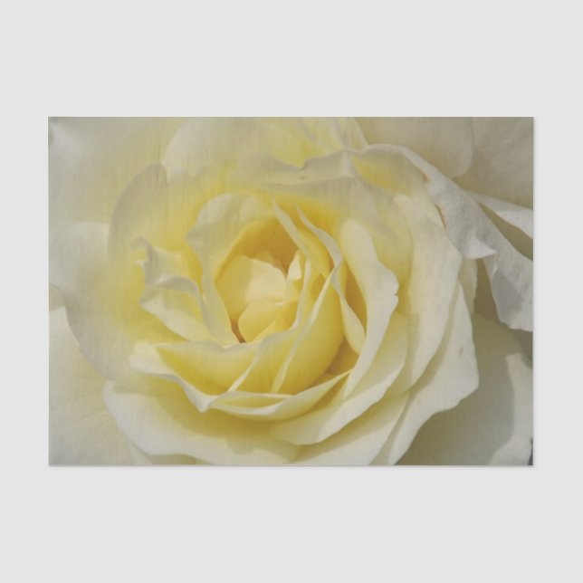 Papel De Seda White Rose - Livro (Frente )