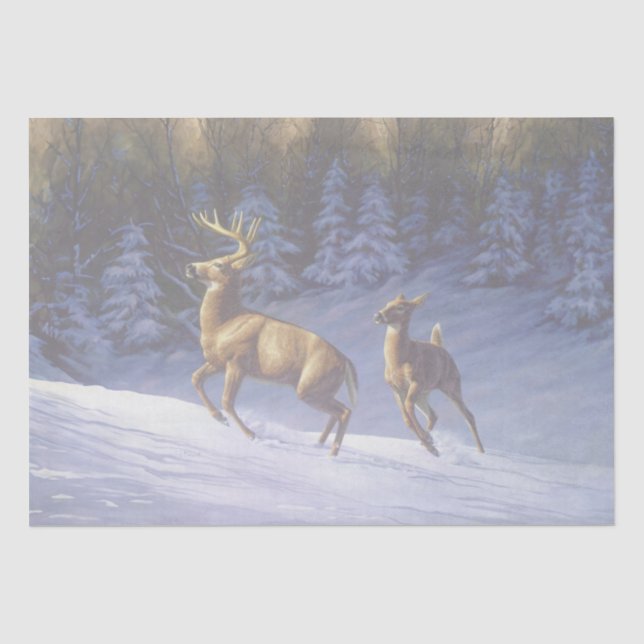 Papel De Seda Whitetail Deer Buck & Doe na Neve de inverno (Frente )