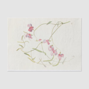 Papel De Seda Wild Sweet Pea por Margaret Armstrong