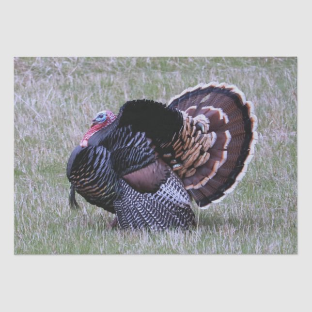 Papel De Seda Wild Turkey (Frente )