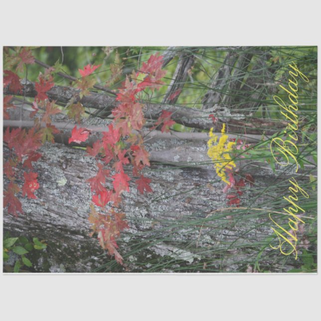 Papel De Seda Wildflower Happy Birthday (Frente )