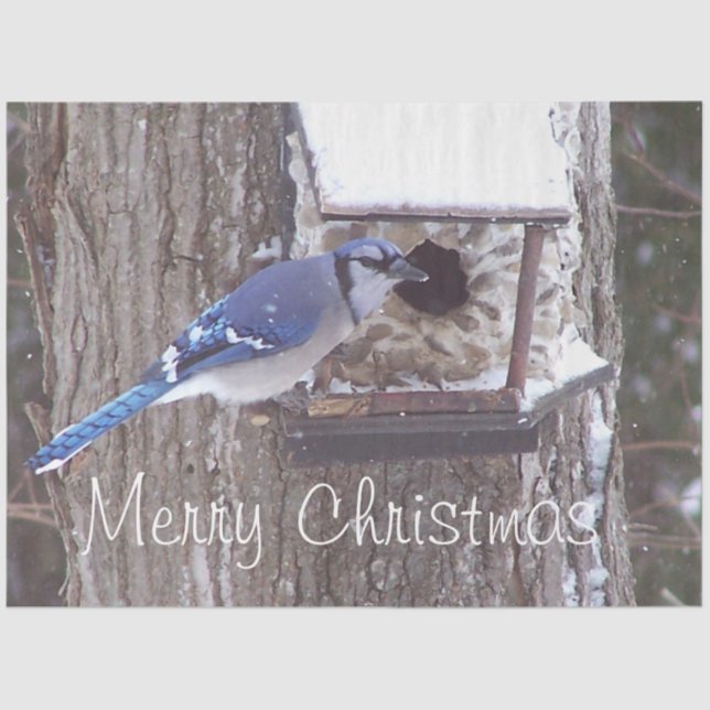 Papel De Seda Wildlife Blue Jay (Frente )