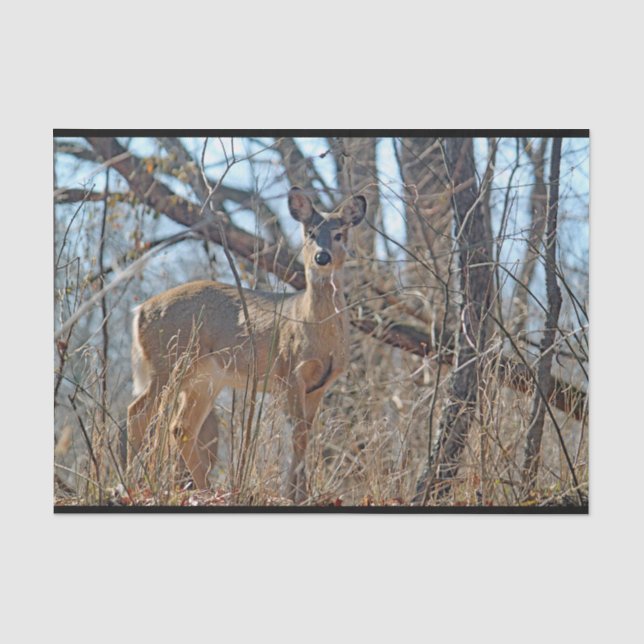 Papel De Seda Wildlife Deer Woods  (Frente )
