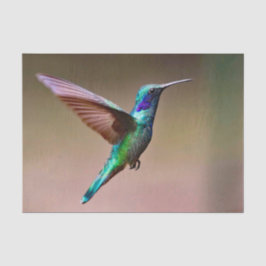 Papel De Seda Wildlife Green Hummingbird Foto
