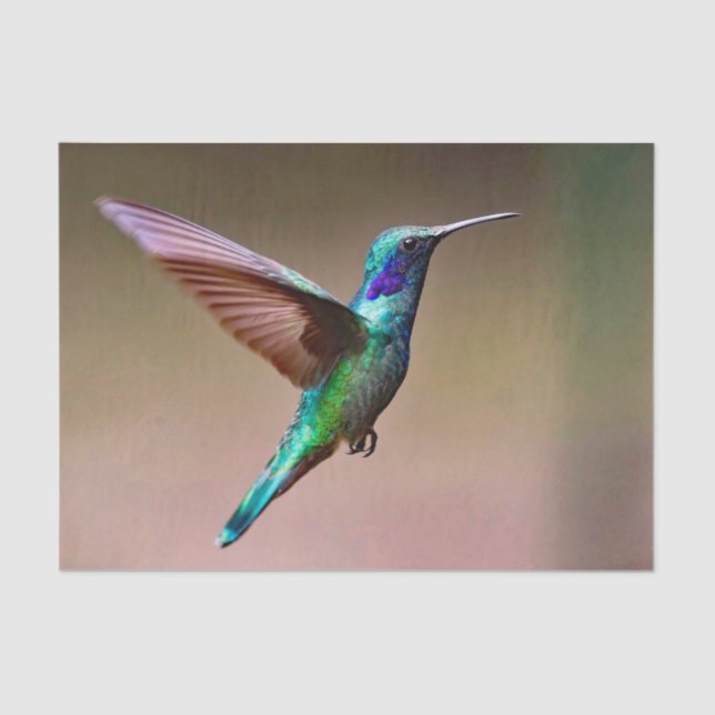 Papel De Seda Wildlife Green Hummingbird Foto (Frente )