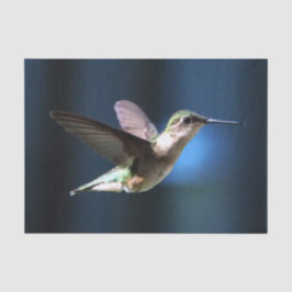 Papel De Seda Wildlife Hummingbird Foto
