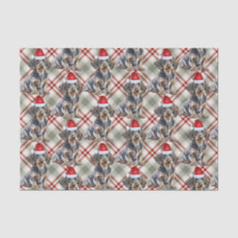 Papel De Seda Wire Haired Dachshund Santa Dog Plaid Christmas