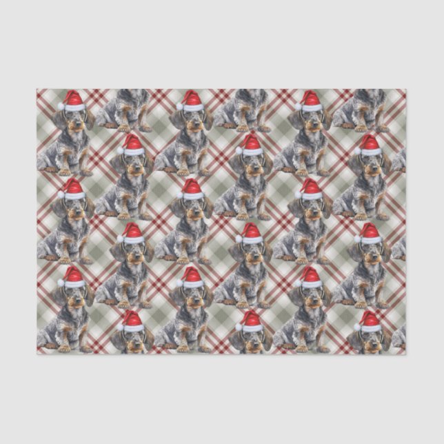 Papel De Seda Wire Haired Dachshund Santa Dog Plaid Christmas (Frente )