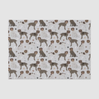 Papel De Seda Wirehaired Pointing Griffon