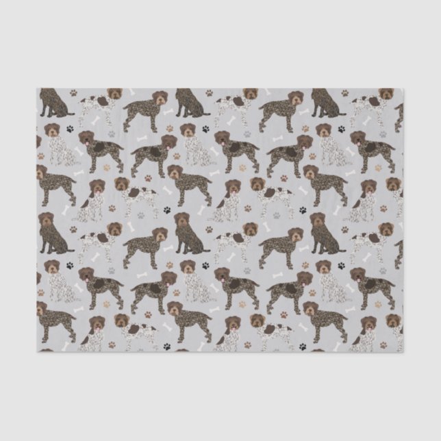 Papel De Seda Wirehaired Pointing Griffon (Frente )
