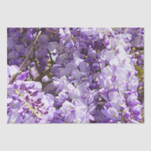 Wisteria Purple Floral Flor Tree Violet