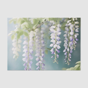 Papel De Seda Wisteria Românica Vine Watercolor em Azul Posto