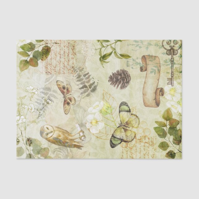 Papel De Seda Woodland Ephemera (Frente )