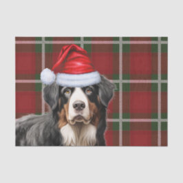 Papel De Seda Xadrez de Natal de Tartan e Cão de Montanha Bernes