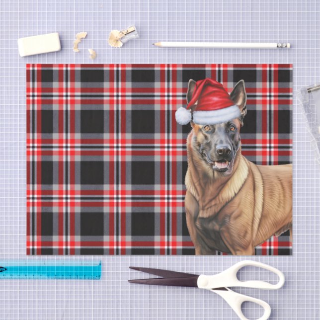 Papel De Seda Xadrez Vermelha Festiva e Natal Malinois Belga (Arte )