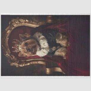 Papel De Seda Yorkie Red Kings Cadeira Fundo Escuro