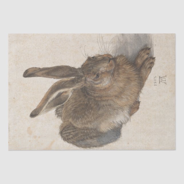 Papel De Seda Young Hare por Albrecht Durer (Frente )