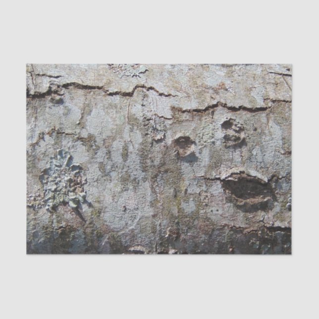 Papel De Seda Young Maple Tree Latido 0041 (Frente )