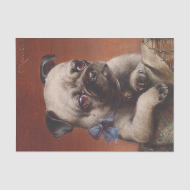 Papel De Seda Young Pug por Carl Reichert (Frente )