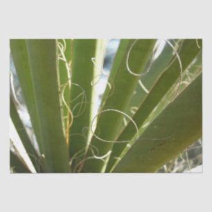 Papel De Seda Yucca deixa fotografia verde