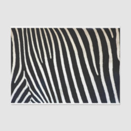 Papel De Seda Zebra Imprime Pele Preta