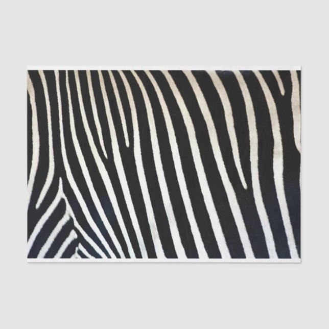 Papel De Seda Zebra Imprime Pele Preta (Frente )