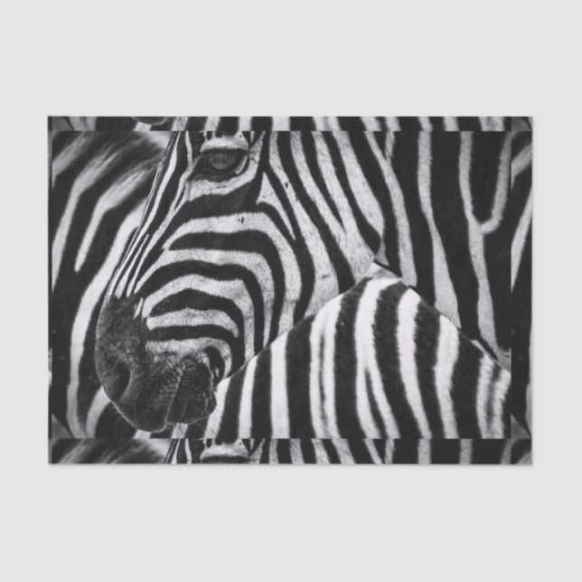 Papel De Seda Zebra preto e branco Funky (Frente )