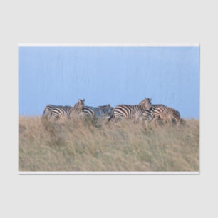 Papel De Seda Zebras at dusk