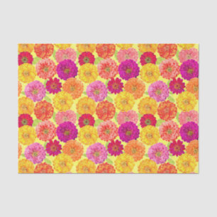 Papel De Seda Zinnia Amarelo, Rosa, Laranja Botânico