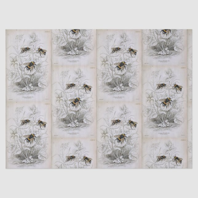 Papel de Tecido Botânico da Abelha (Frente )
